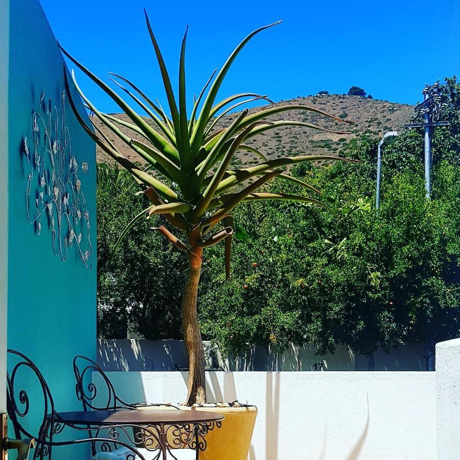 Avatara Bed & Breakfast Cidade Do Cabo Exterior foto